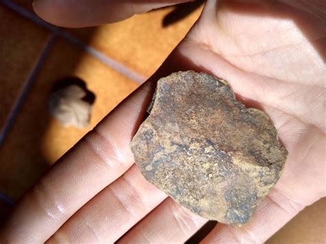 Wracking my brain all day 😵can anyone PLEASE tell me what these are 🤔🧐 ...