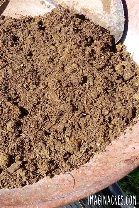 Chicken Manure Compost: How to Safely Turn Coop Waste into Garden ...