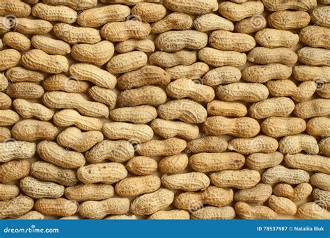 Peanuts In The Shell at Rita Skelley blog