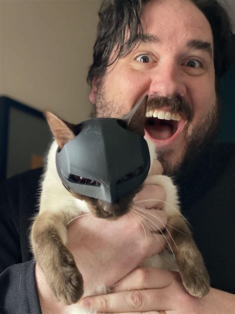 Cat Batman Mask