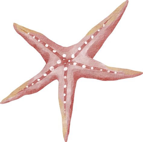 Watercolor Starfish