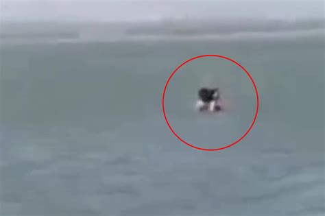 Couple filmed having sex in the ocean get slapped with fine