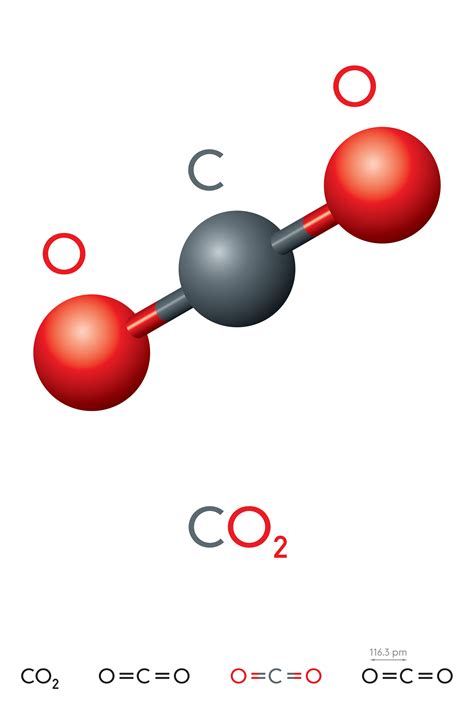Co2 Molecular Geometry Hybridization Of Carbon Dioxide Structure Of