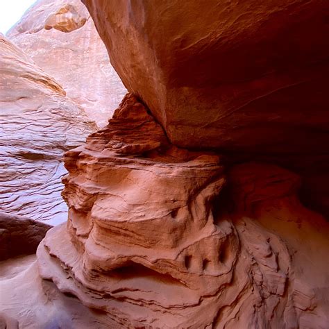 IMG_5695 | Maxine Mayer | Flickr