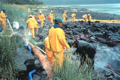 Exxon Valdez Animals