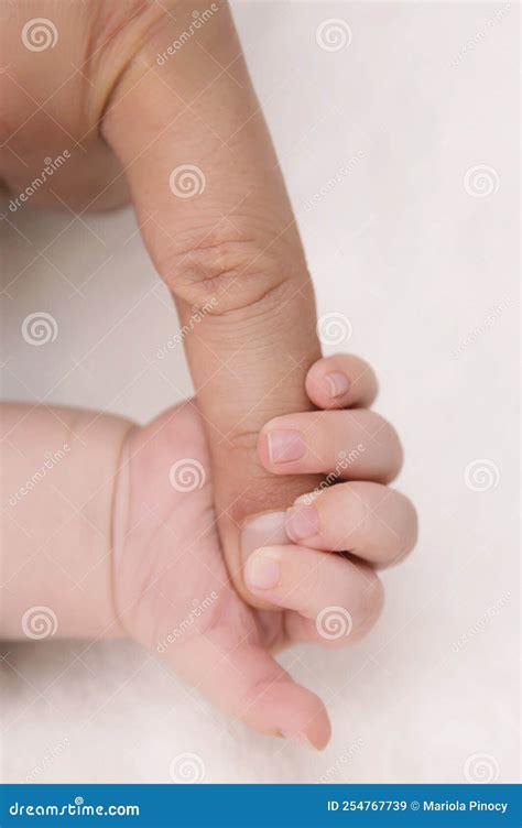 Hands of a Newborn and an Adult Parent Clenched into a Fist, High ...