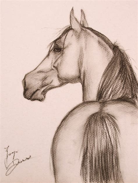 drawing done with shading and charcoal … | Animal drawings, Pencil art ...