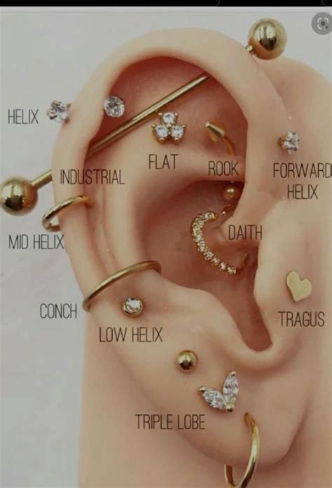 How To Ear Piercing Yourself at Cody Chapple blog