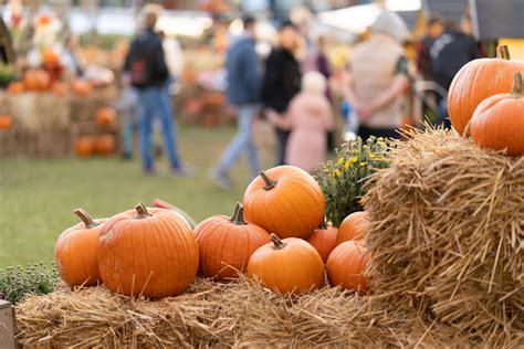 Long Island Fall Festival Guide For 2023