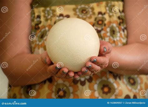 Ostrich Egg Size