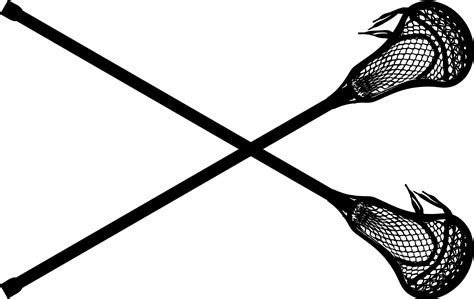 lacrosse stick transparent background - Clip Art Library