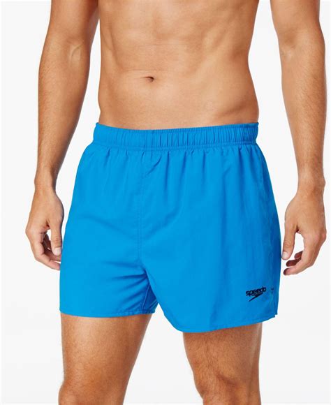 Speedo Swimwear Men's Near Me at John Marcell blog