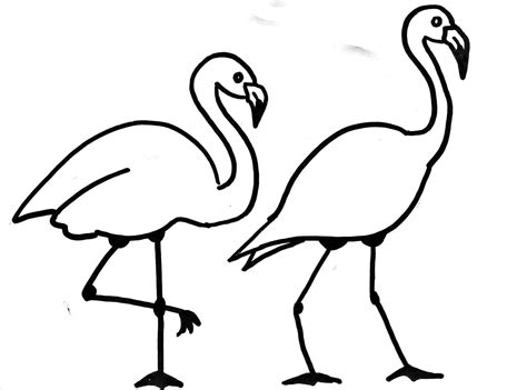 Simple Flamingo Drawing at PaintingValley.com | Explore collection of ...