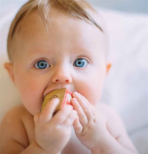 Why Can’t Babies Eat Honey? – Garden Variety Bees