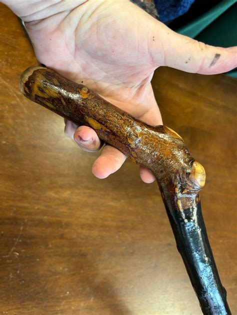 Blackthorn Walking Sticks - Page 4 - McCaffrey Crafts Ltd