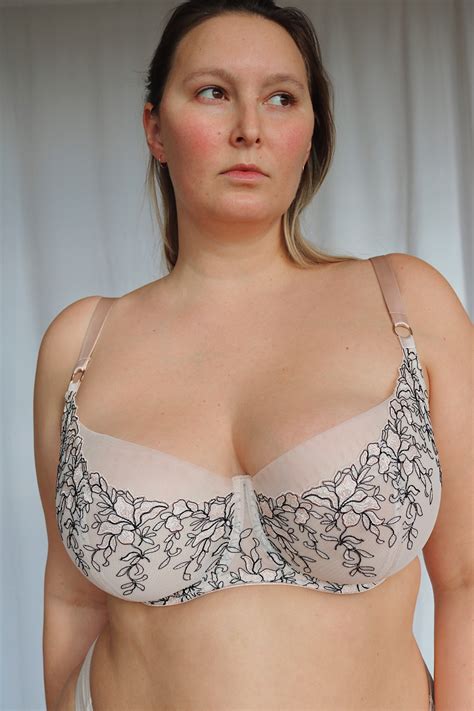 E Cup Size Explained: Perfect Fit and Comfort by Overture Lingerie