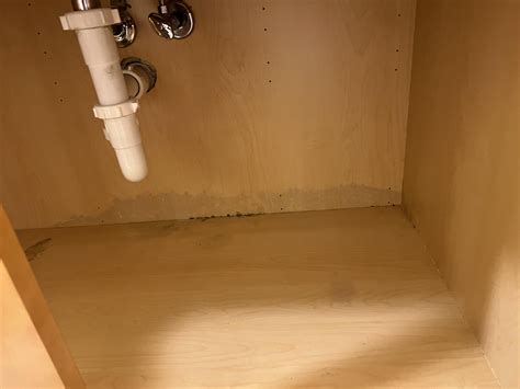 Under sink leak- should I be concerned about replacing cabinetry : r/Home