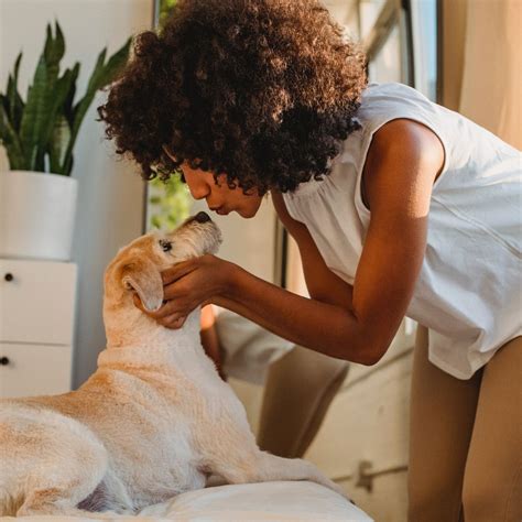 Can Dog Licking Cause Infection