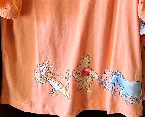 We're Obsessed With the NEW Winnie the Pooh Merchandise in EPCOT ...