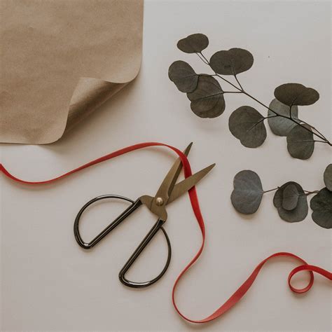 How To Do A Cord Cutting Ritual Properly (and why) — Suburban Witchery