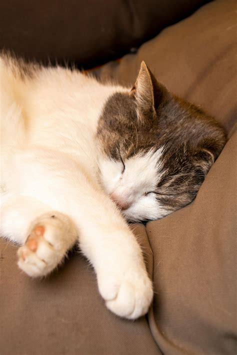 How Does The Environment Noise, Temperature, Etc. Affect Sleep Quality In Busy Adults?