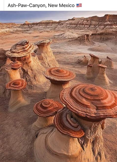 Complete guide to alien throne valley of dreams new mexico – Artofit