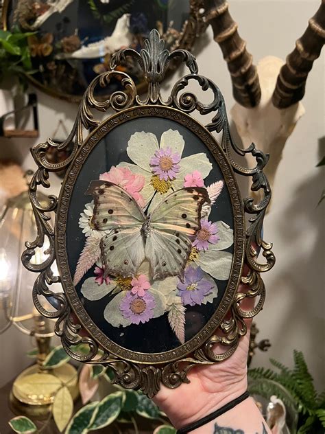 Vintage Bubble Glass Frame With Mother of Pearl Butterfly and Dried ...