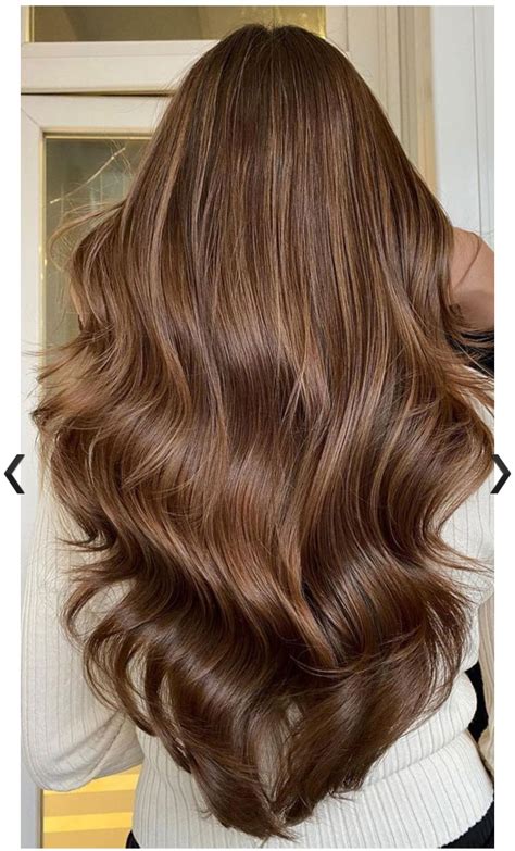 Pin by Larissa Ruiz on New look | Light purple hair, Brown hair inspo ...
