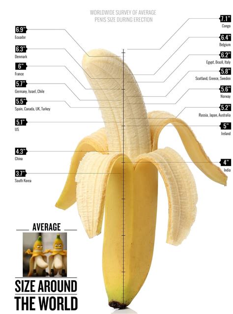 Penis size infographic – Healthynewage.com