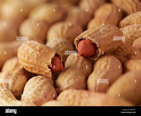 Peanut Shell Stock Photos & Peanut Shell Stock Images - Alamy