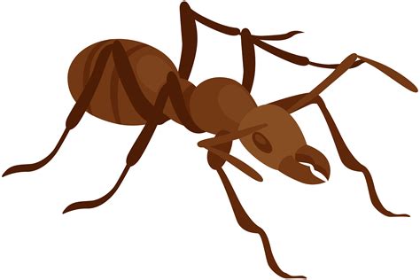 Ant Clip Art