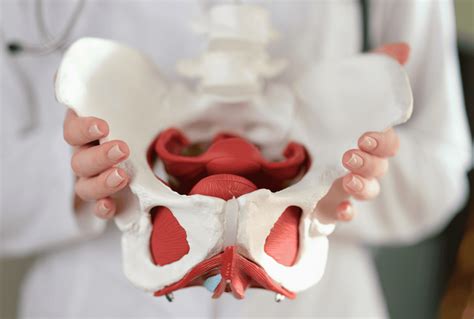 Pelvic Floor Physiotherapy: What It Is and How It Can Help You - Lu ...