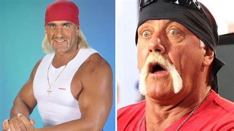 Hulk Hogan Brother Quotes