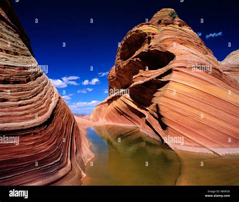 STRIATED SANDSTONE AT THE WAVE NORTH COYOTE BUTTES PARIA CANYON ...