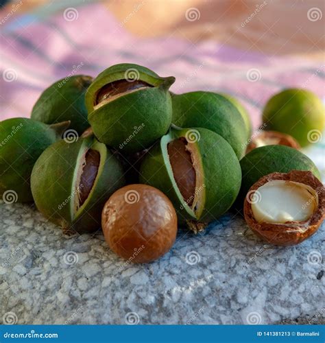 Raw Macadamia Nuts In Shell at Jason Rocha blog