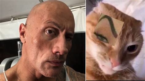 Raise Eyebrows Idiom Examples at Hunter Berry blog