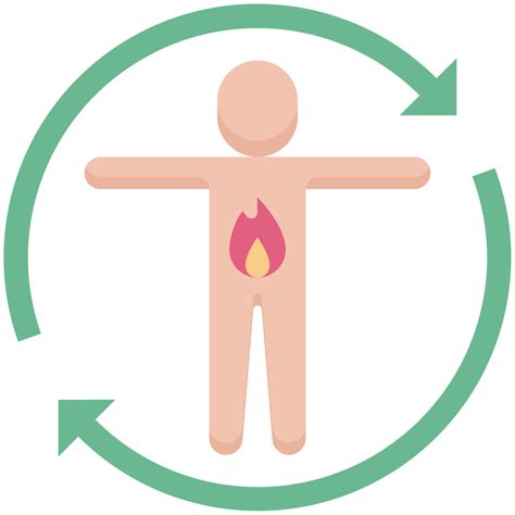 Metabolism icon - Download on Iconfinder on Iconfinder