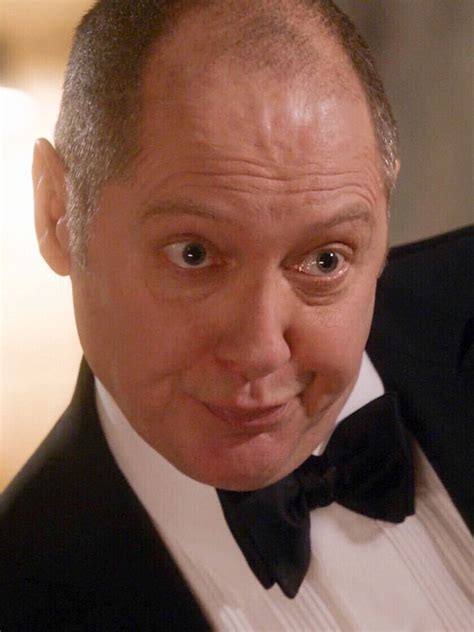 Red in 2022 | The blacklist, James spader, James spader young