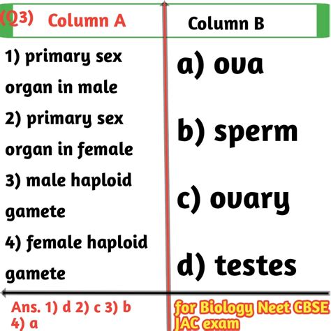 matching question examples in biology for class 12th exams - Biologysir