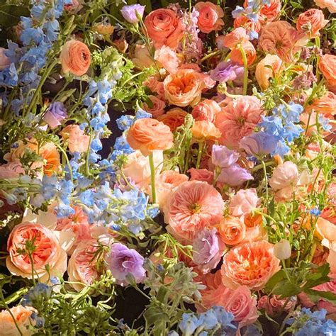 National Flower Day Is Coming up to Officially Welcome Spring