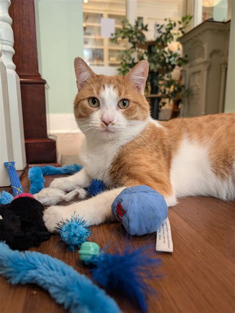 Benjamin — A Sanctuary Cafe