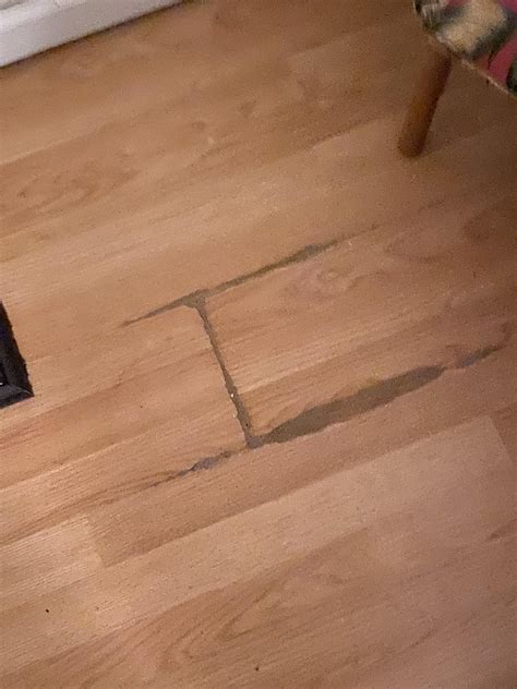 Best moisture protection? : r/Flooring