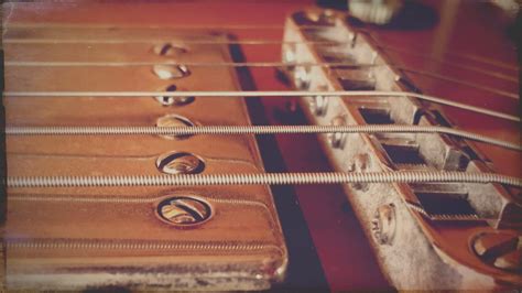 Fretless Bass Guitar Set Up at Brittany Moya blog