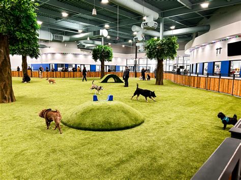 This New Pet Facility Has a Huge Indoor Dog Park - Avenue Calgary