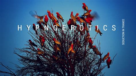 Erotic audio porn for women lure me colon a seductive erotic romance ...