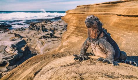 Isla santa maría galápagos: turismo en el archipiélago encantado | Mi ...