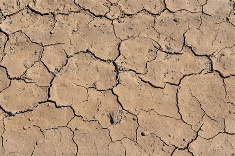 The effect of soil degradation on human, animal and plant health