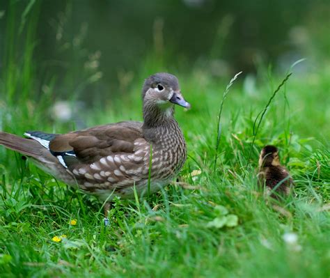 4.828+ Fotos y Imágenes de Vaginas+hermosas Gratis · Banco de Fotos Gratis