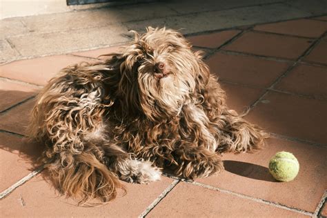 Nice Big Boobs Photos, Download The BEST Free Nice Big Boobs Stock ...