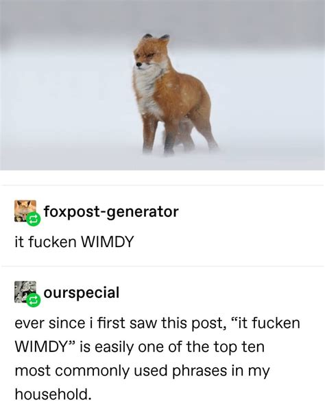 WIMDY : r/tumblr